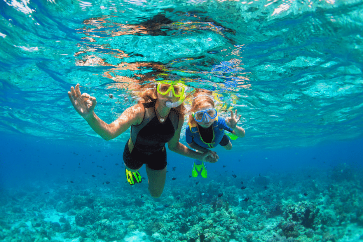 snorkeling, diving, scuba diving, charter, Sun Sports islamorada