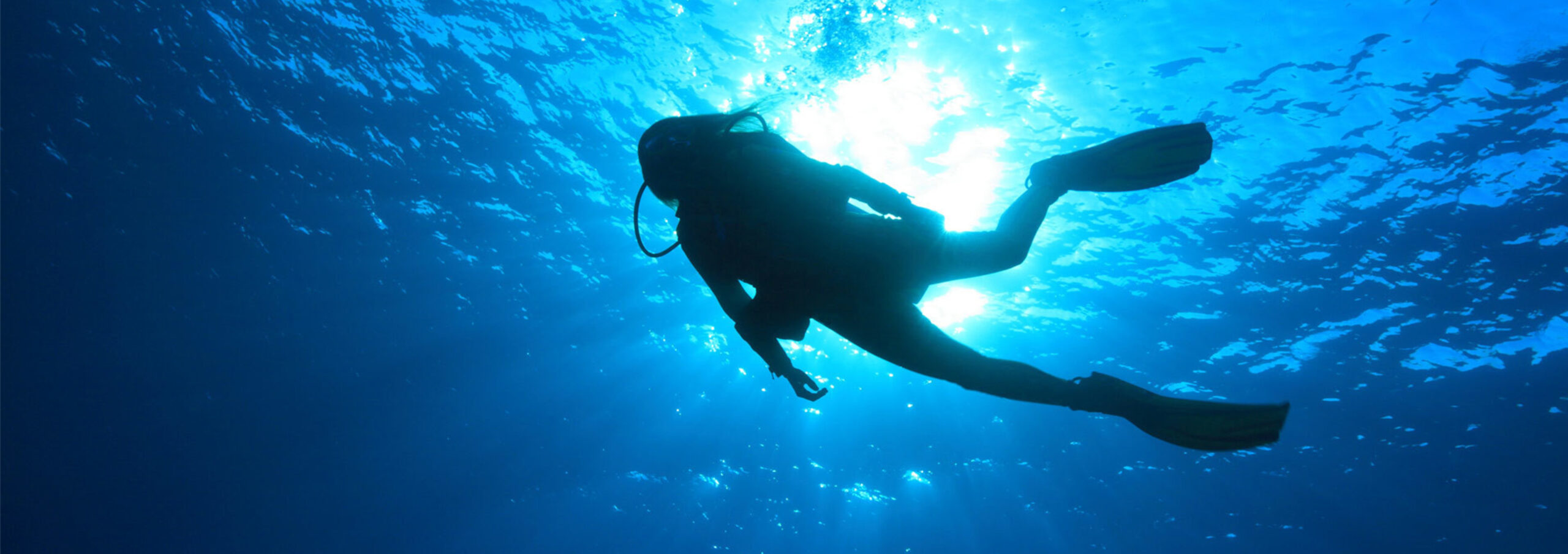 Dive Sites - Key Largo's Premier Scuba Charter